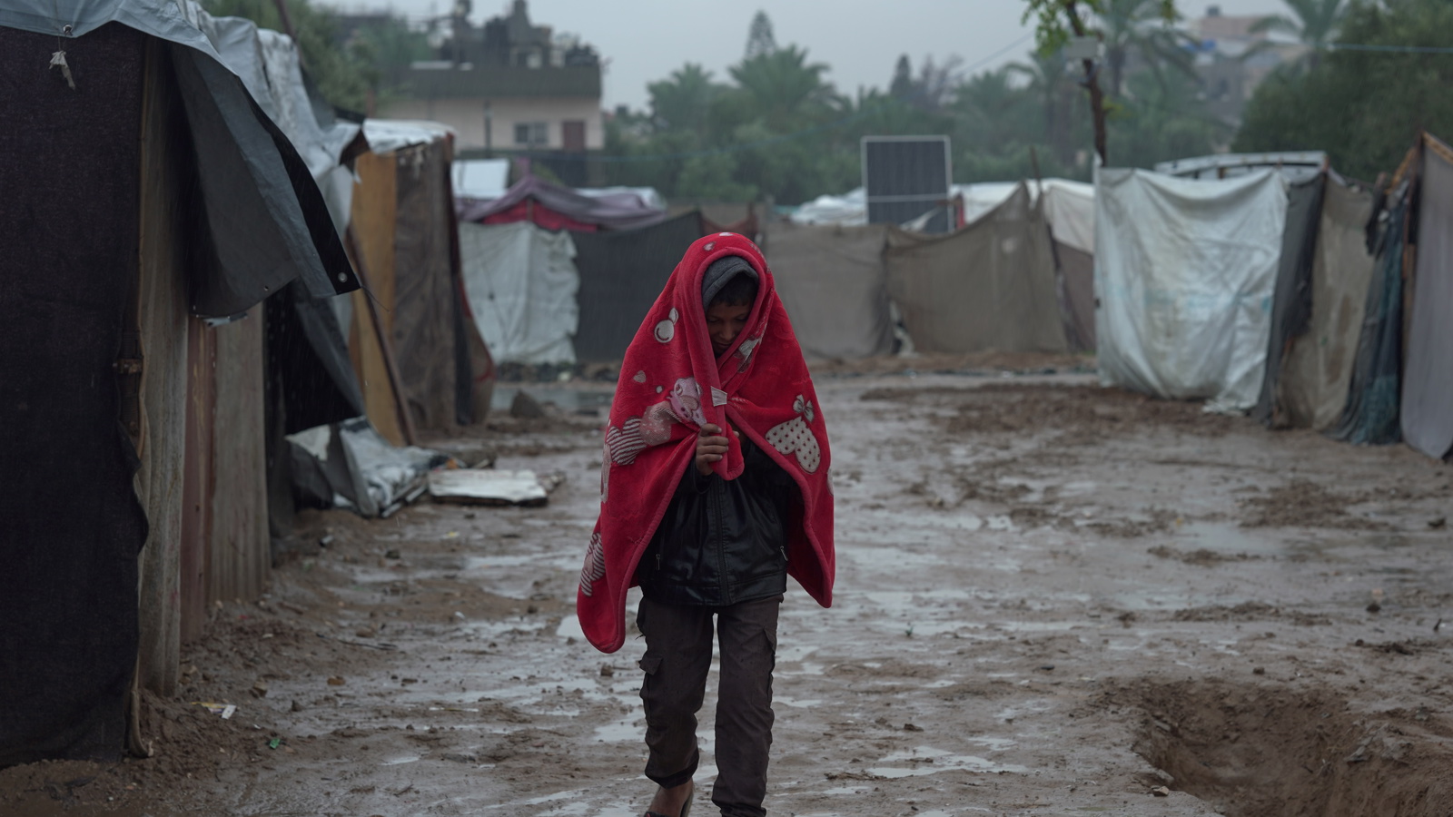 Gaza Floods Appeal