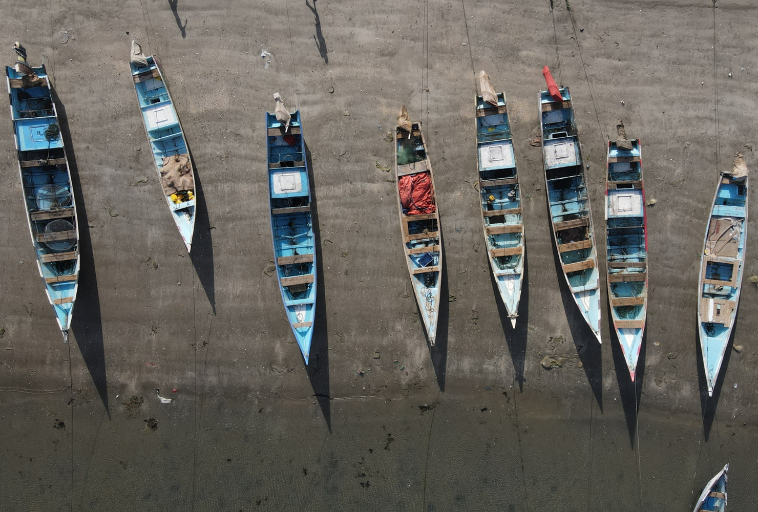 Yemen Fisheries