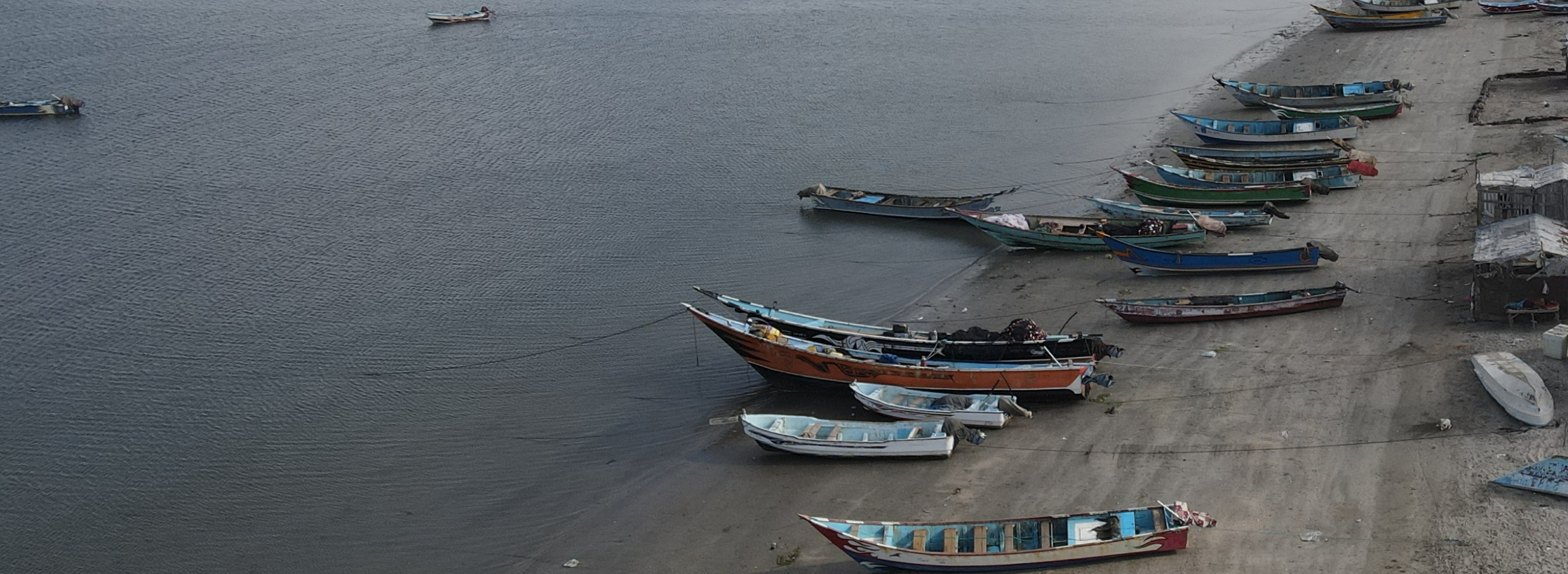 Yemen Fisheries